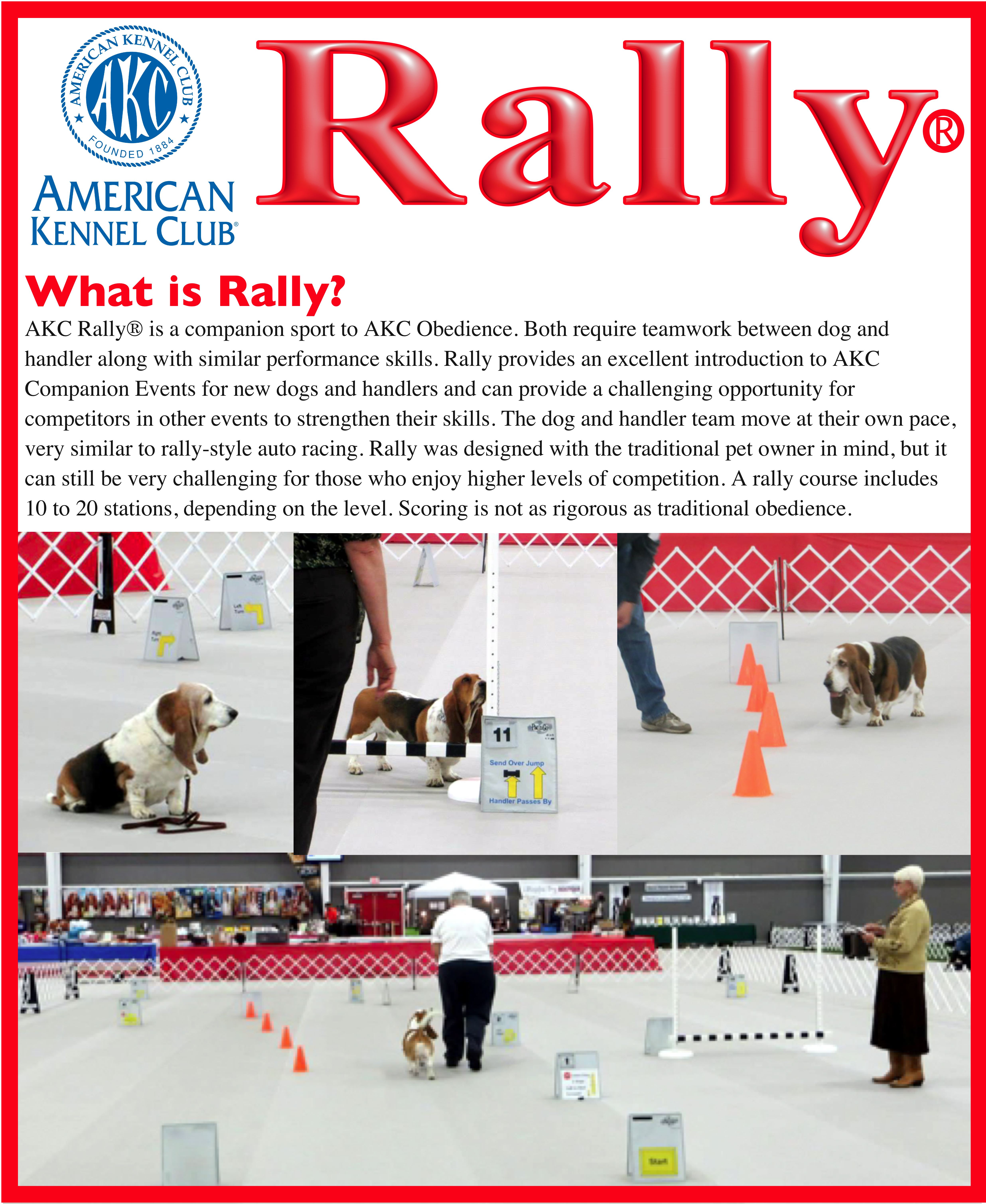 Akc rally sale